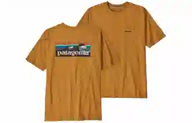 patagonia T