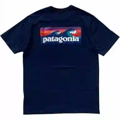 patagonia T