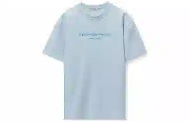 alexander wang T
