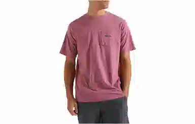 patagonia T