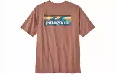 patagonia T