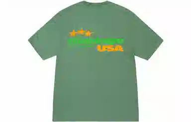 Stussy SS23 STUSSY DESIGNS USA TEE T