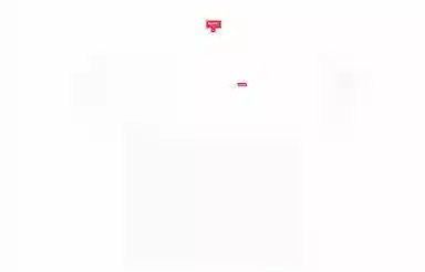 Supreme Small Box Tee