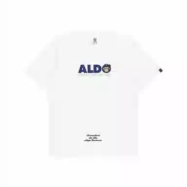 Aape T