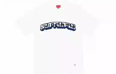 Supreme BLOCK ARC S/S TOP