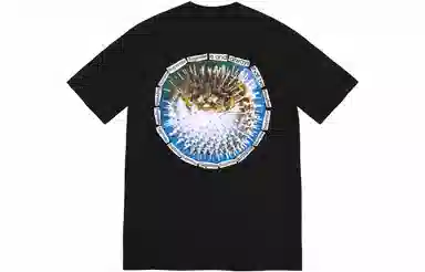 Supreme Blowfish Tee