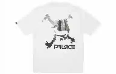 Palace x Oakley SS23 T-Shirt