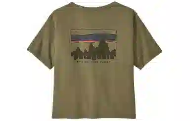 patagonia T