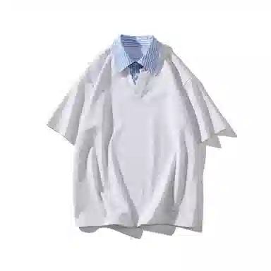 WELTER EXPERIMENT VT