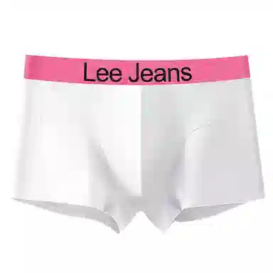 Lee 4