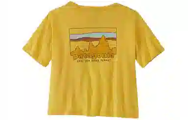 patagonia T