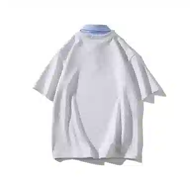 WELTER EXPERIMENT VT