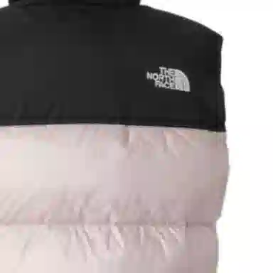 THE NORTH FACE Nupsi FW24 WL logo