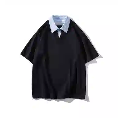 WELTER EXPERIMENT VT