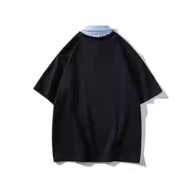 WELTER EXPERIMENT VT