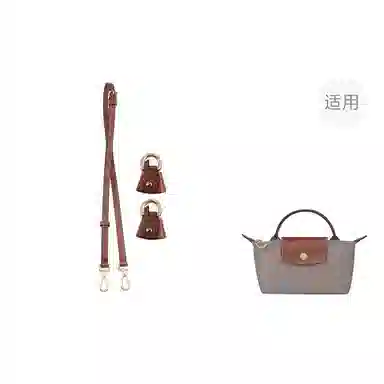 Jingxi Longchamp Mini
