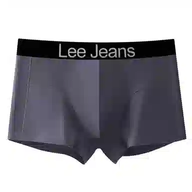 Lee 4
