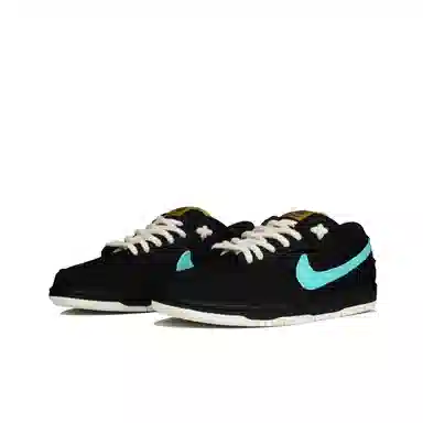 Nike Dunk SB