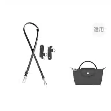 Jingxi Longchamp Mini