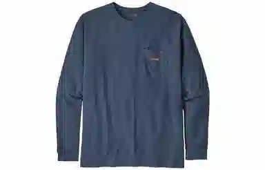 patagonia T