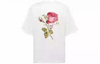 DIOR DIOR FW22 T