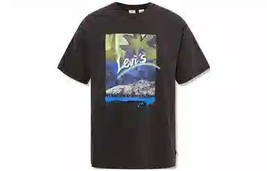 Levis T