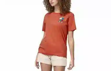 patagonia SS23 T