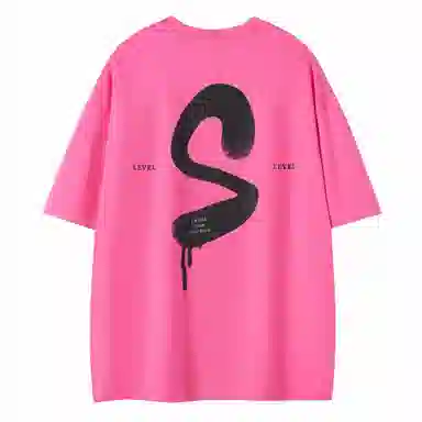 LEVEL T