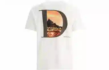 DIOR T