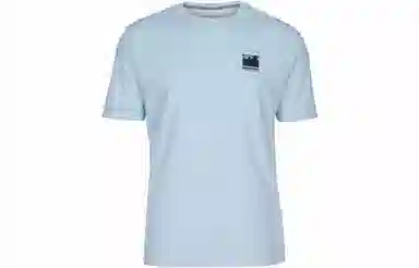 patagonia Alpine Icon LogoT