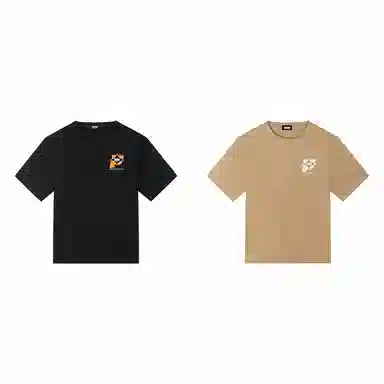 PJ's Vigor T 2