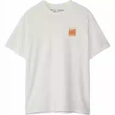 patagonia Alpine Icon LogoT