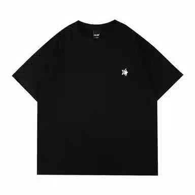 STANAIR Logo T