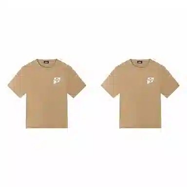 PJ's Vigor T 2