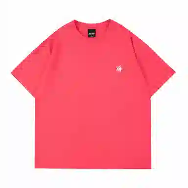 STANAIR Logo T