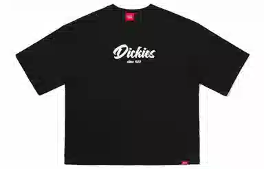 Dickies SS23 Retro Print Tee