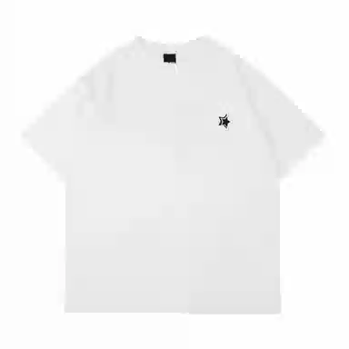 STANAIR Logo T