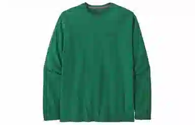 patagonia Line Logo Ridge Long-Sleeve Responsibili-Tee LogoT