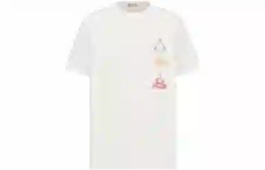 DIOR T