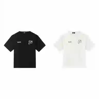 PJ's Vigor T 2