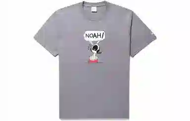NOAH LogoT