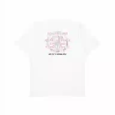 Aape T