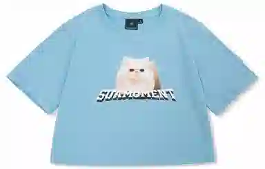Suamoment T
