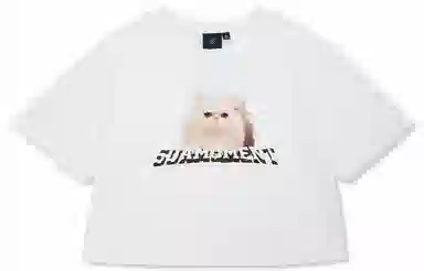 Suamoment T