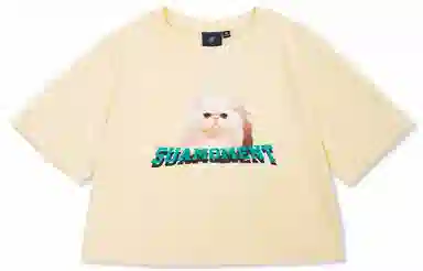 Suamoment T