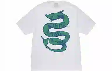 Stussy SS23 Hawaii Trip T