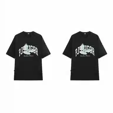 PJ's Vigor T 2