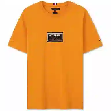Tommy Hilfiger T