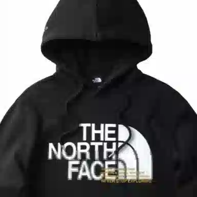THE NORTH FACE Logo