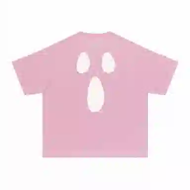 FEAROM T